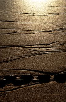 0898stives