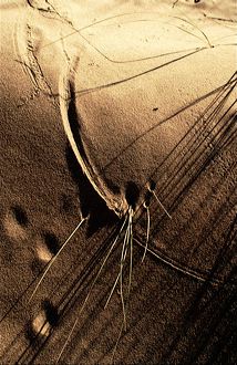7395sand