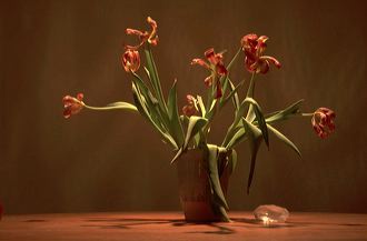 zurichtulips1
