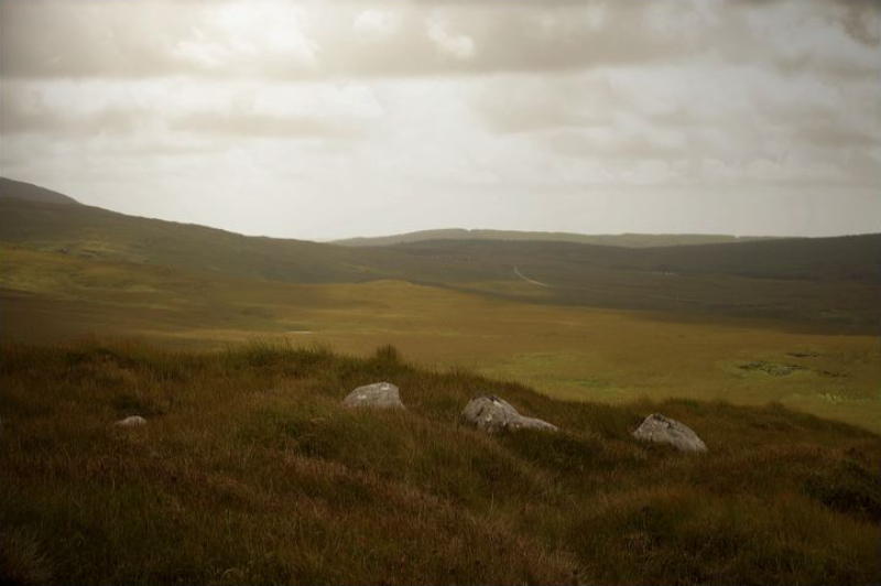 7367diamondhill.jpg